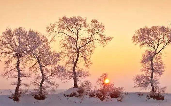 【玩转全景东北▪纯玩团】冰城哈尔滨、梦幻雪乡、长白山温泉、吉林雾凇，古都沈阳一次走遍