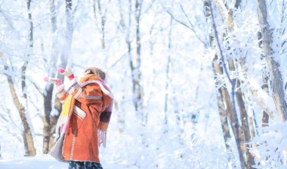 【玩转全景东北▪纯玩团】冰城哈尔滨、梦幻雪乡、长白山温泉、吉林雾凇，古都沈阳一次走遍