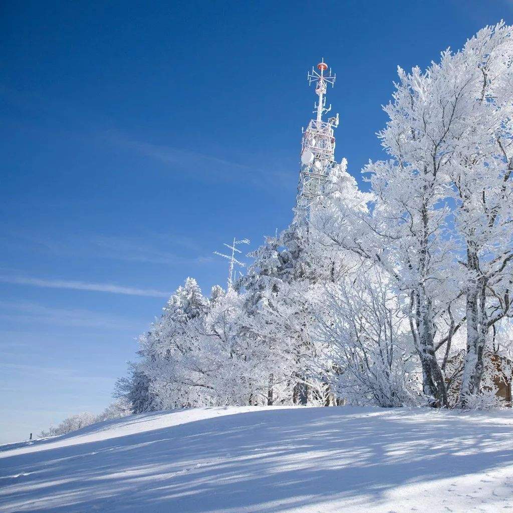 【玩转全景东北▪纯玩团】冰城哈尔滨、梦幻雪乡、长白山温泉、吉林雾凇，古都沈阳一次走遍