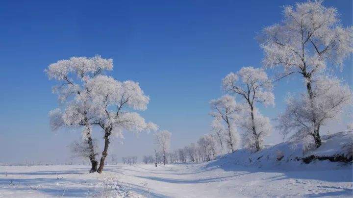 【玩转全景东北▪纯玩团】冰城哈尔滨、梦幻雪乡、长白山温泉、吉林雾凇，古都沈阳一次走遍