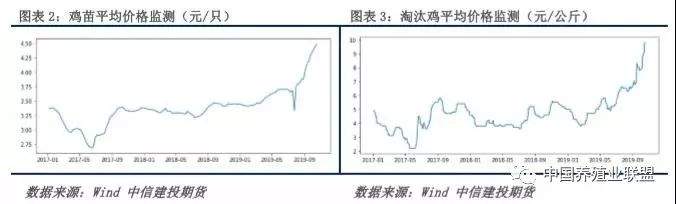 猪继续飞，蛋借东风，这个冬天蛋价“不会冷”？