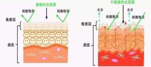 李湘推荐！让我一口气囤了那么多的神仙精华，一瓶才49块钱