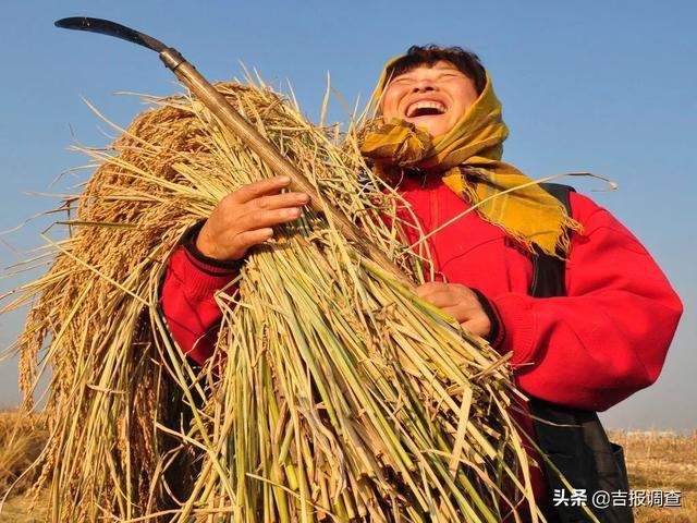 摄影师镜头下的“梅河口最美秋色”——金秋十月，秋收如画……