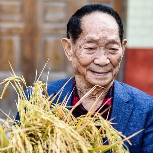 袁隆平去美国领奖时，威尔其建议：你应该修座王府，好好享受一番