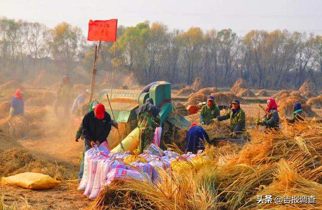 摄影师镜头下的“梅河口最美秋色”——金秋十月，秋收如画……