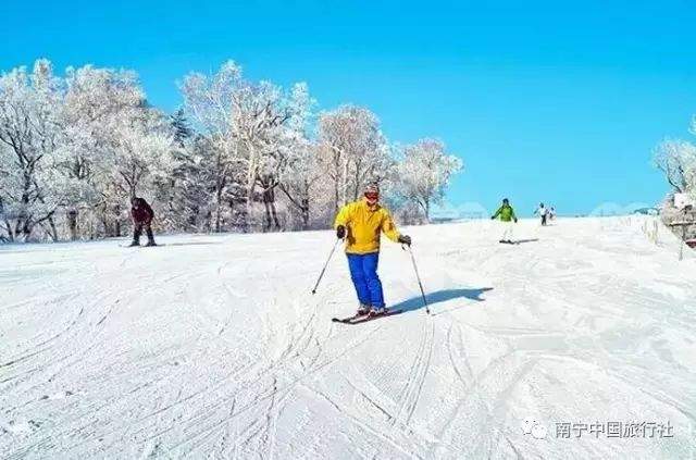 东北雪乡纯玩！哈尔滨、亚布力ClubMed顶级滑雪、中国童话雪乡、泼水成冰纯玩双飞六日游！