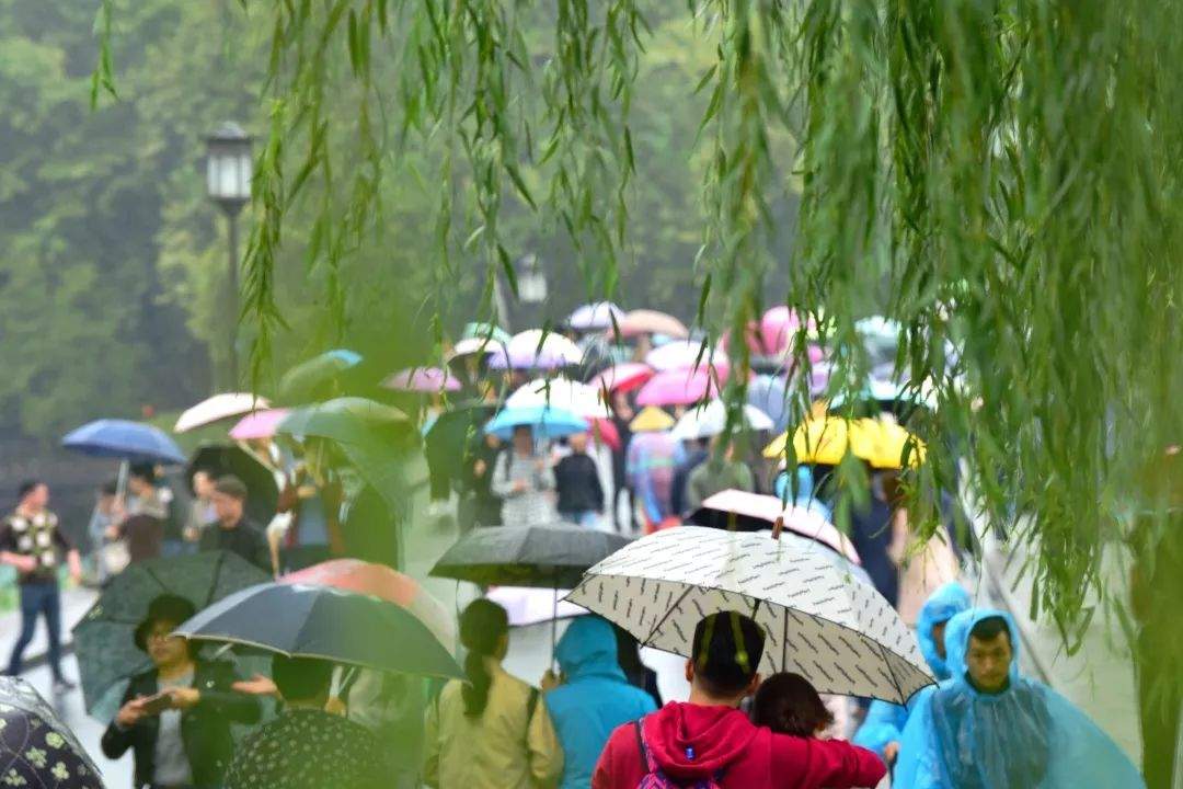 他来了！他来了！较强冷空气真来了！“没雨季”结束，杭州下周要降温到10℃