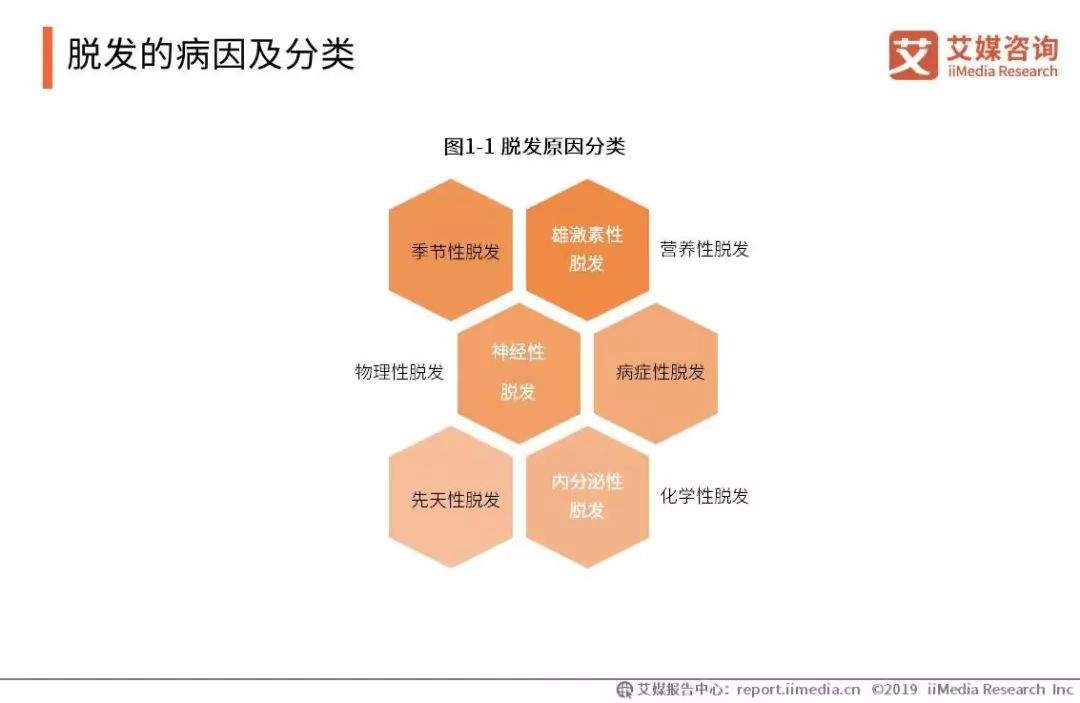 2019-2021年中国脱发保健行业趋势与消费行为数据研究报告