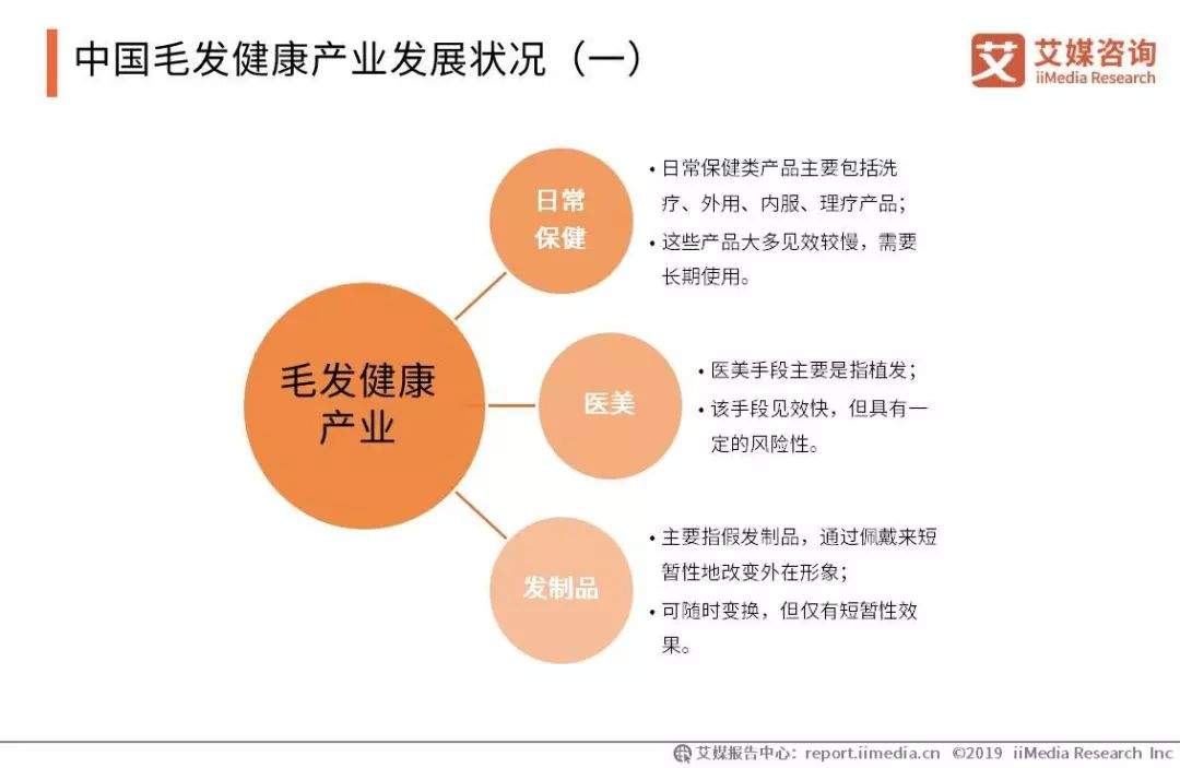 2019-2021年中国脱发保健行业趋势与消费行为数据研究报告