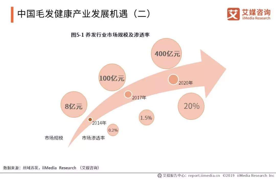 2019-2021年中国脱发保健行业趋势与消费行为数据研究报告