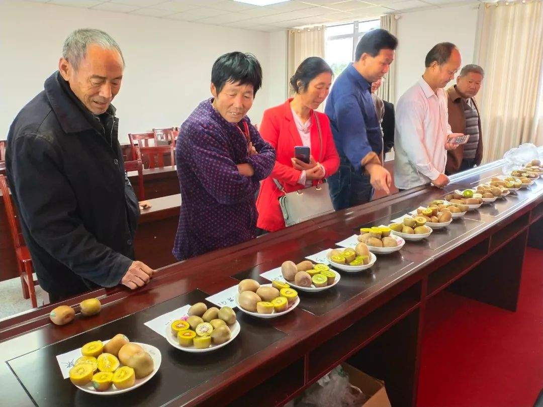 万和镇召开猕猴桃种植户交流会