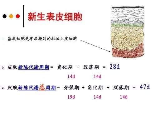 景甜、王丽坤被高清镜头直接曝光的皮肤也太好了！