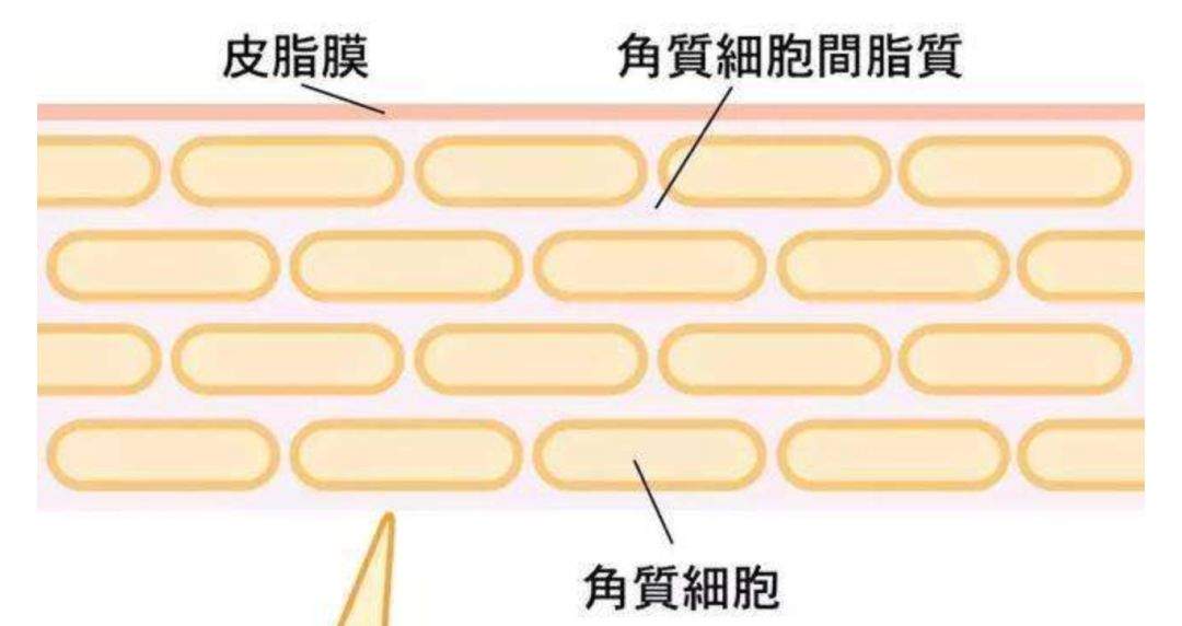 景甜、王丽坤被高清镜头直接曝光的皮肤也太好了！