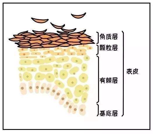 景甜、王丽坤被高清镜头直接曝光的皮肤也太好了！