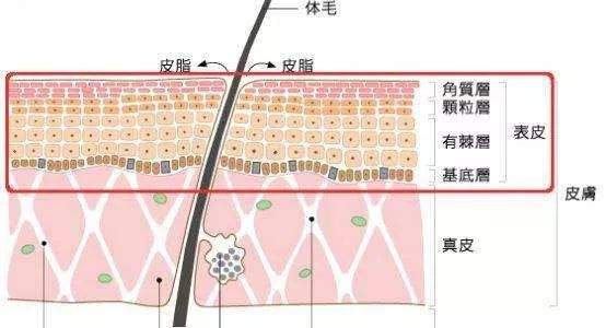 景甜、王丽坤被高清镜头直接曝光的皮肤也太好了！