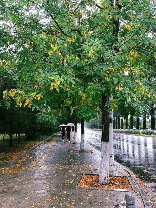 雨后有3、4级偏北风