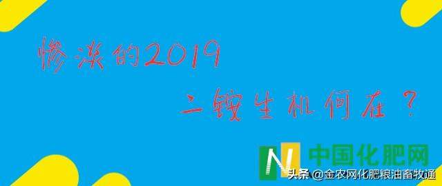 惨淡的2019　二铵生机何在？