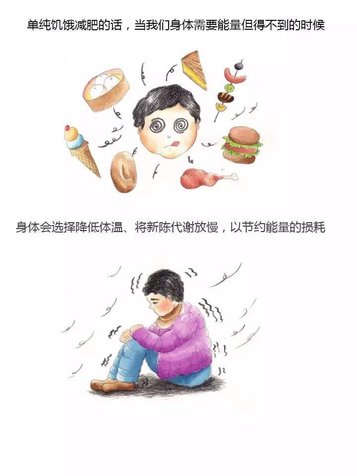 【减肥的误区】减肥最大的坑：饿~胖~了！