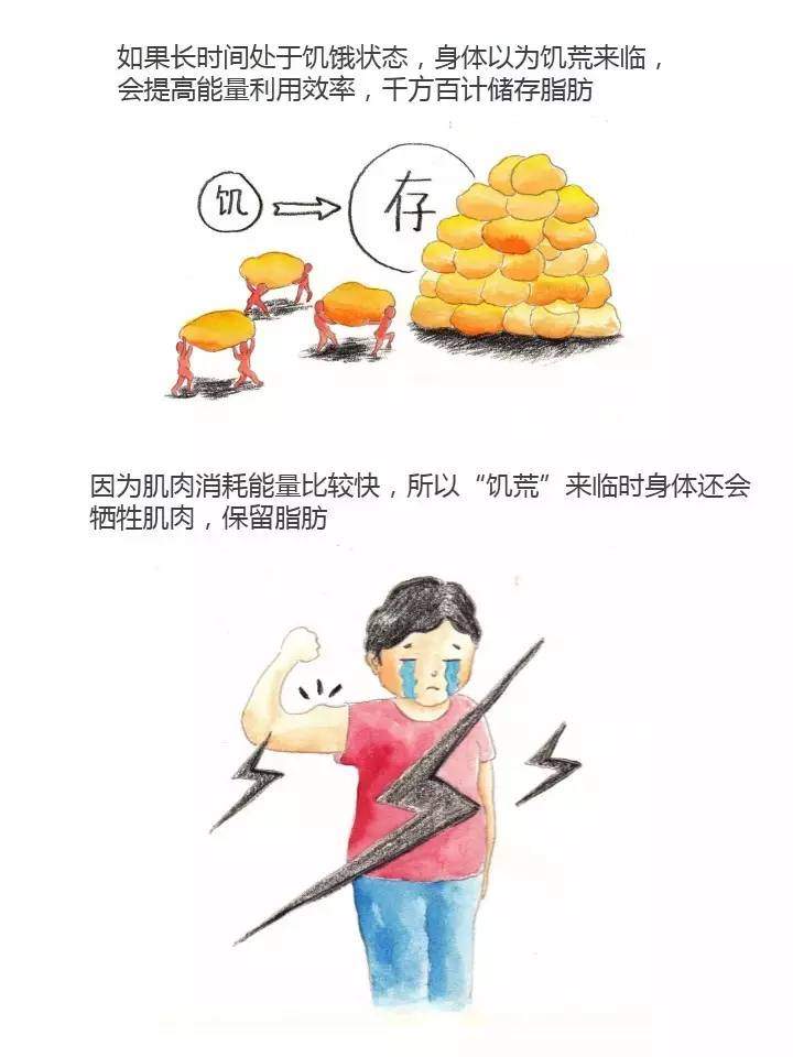 【减肥的误区】减肥最大的坑：饿~胖~了！