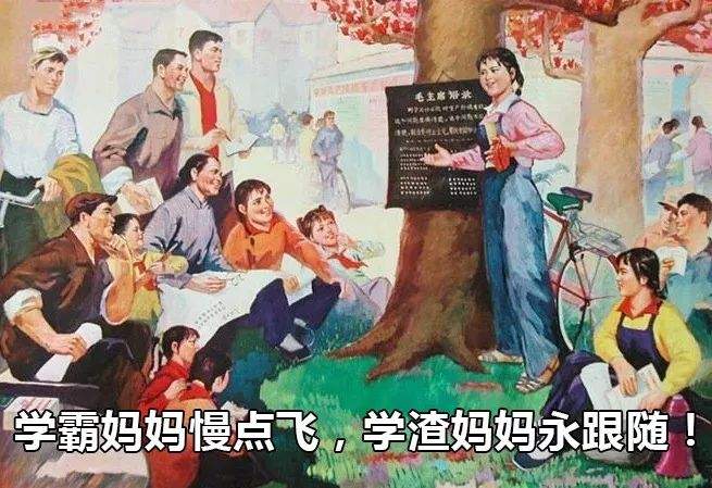 当妈后，我重新接受了九年制义务教育（上）