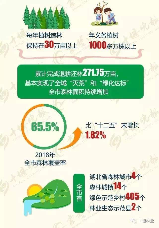 每年超1000万株30万亩！种树，我们是认真的