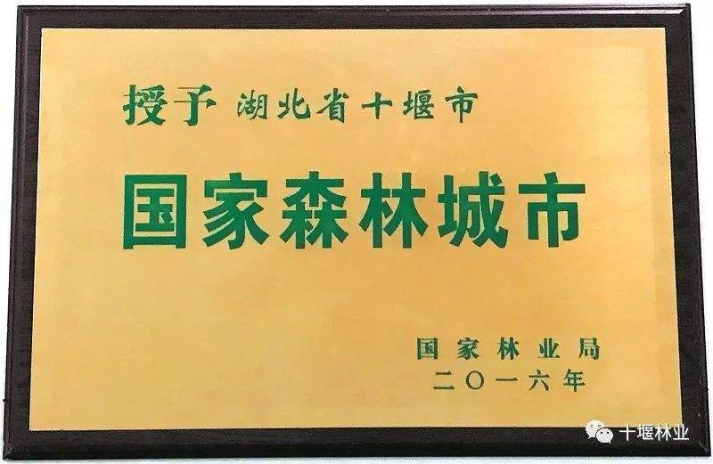 每年超1000万株30万亩！种树，我们是认真的