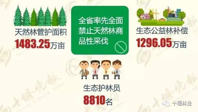 每年超1000万株30万亩！种树，我们是认真的