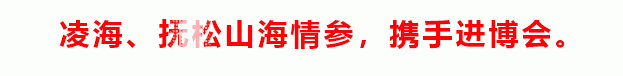 中央电视台、北京卫视、辽宁新闻等各大媒体再次聚焦凌海为哪般？