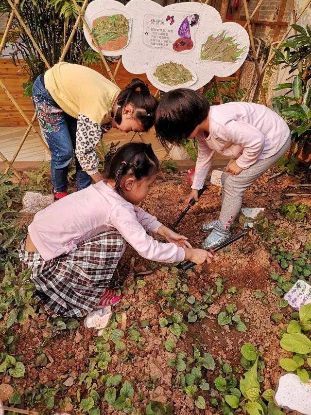 预防传染病，梓幼在行动