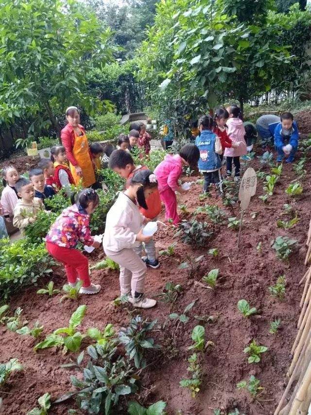 预防传染病，梓幼在行动