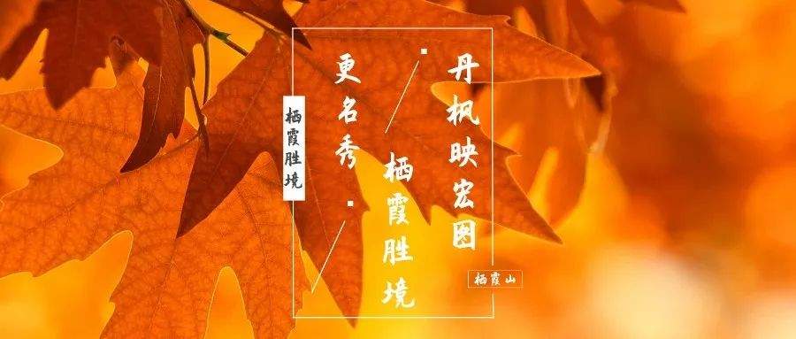 上新了！故宫院长担任顾问，“栖霞胜境”顶级IP全新开启