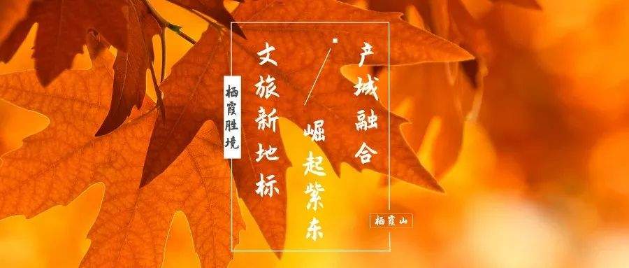 上新了！故宫院长担任顾问，“栖霞胜境”顶级IP全新开启