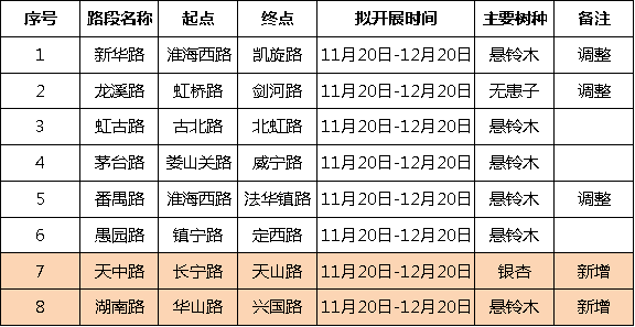 有一种美叫“落叶不扫”！长宁新增2条落叶景观道，你都逛过吗？