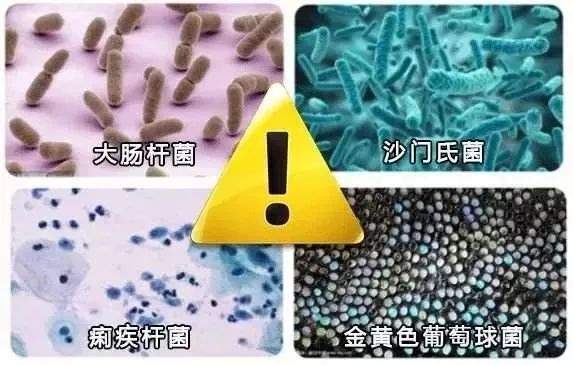 洗干净的内裤还有多脏？每天10万细菌贴身穿！