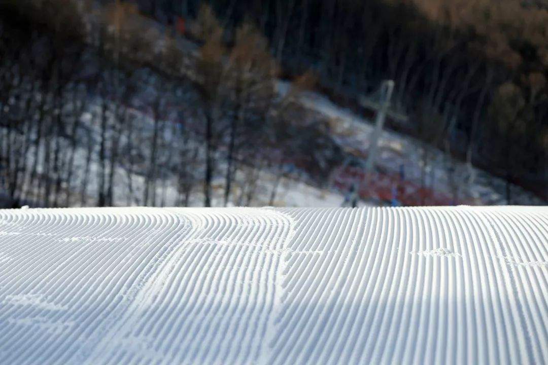 2019.11.21雪况|你知道滑雪对减肥的效果吗