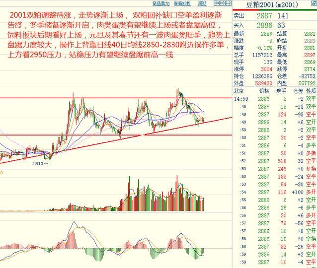 奇顺投资：2019-11-22各品种大行情走势预测