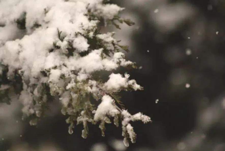 虹藏不见，闭塞成冬|小雪节气防病要点