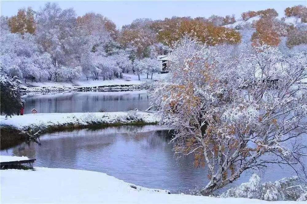 小雪｜新醅酒小火炉月冷风寒围锅正暖