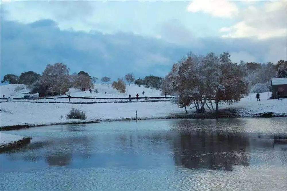 小雪｜新醅酒小火炉月冷风寒围锅正暖