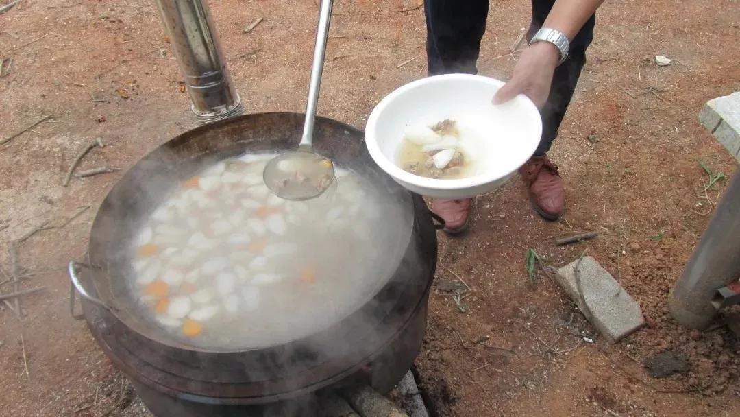 厦门荣杰园快乐亲子乡村旅行和孩子去厦门旅行的必备攻略