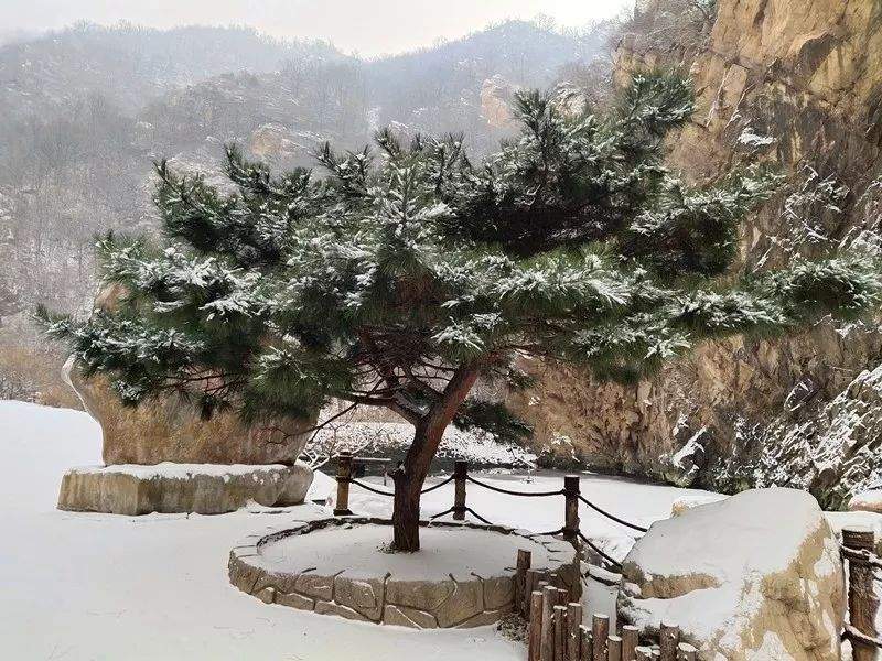 2019第一场雪景已到货，点我查收！