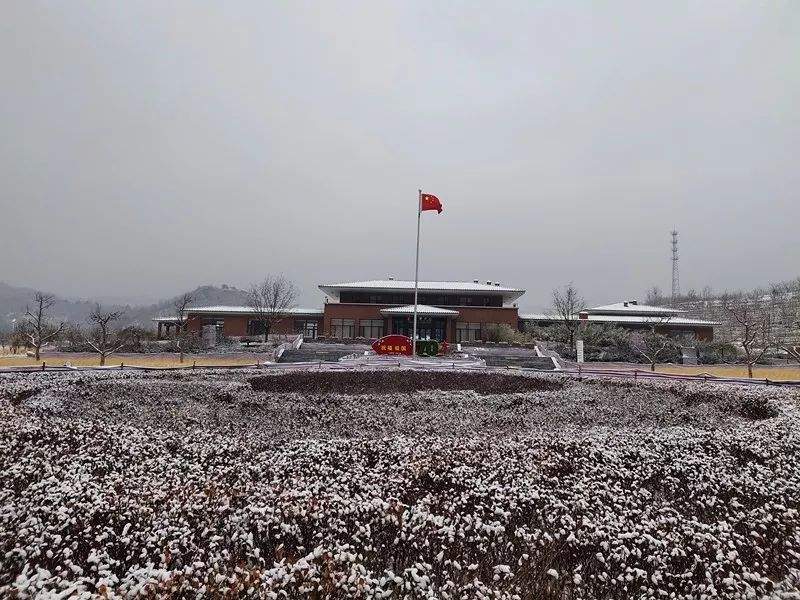 2019第一场雪景已到货，点我查收！