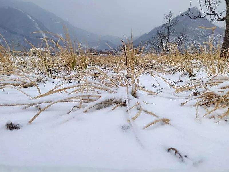 2019第一场雪景已到货，点我查收！