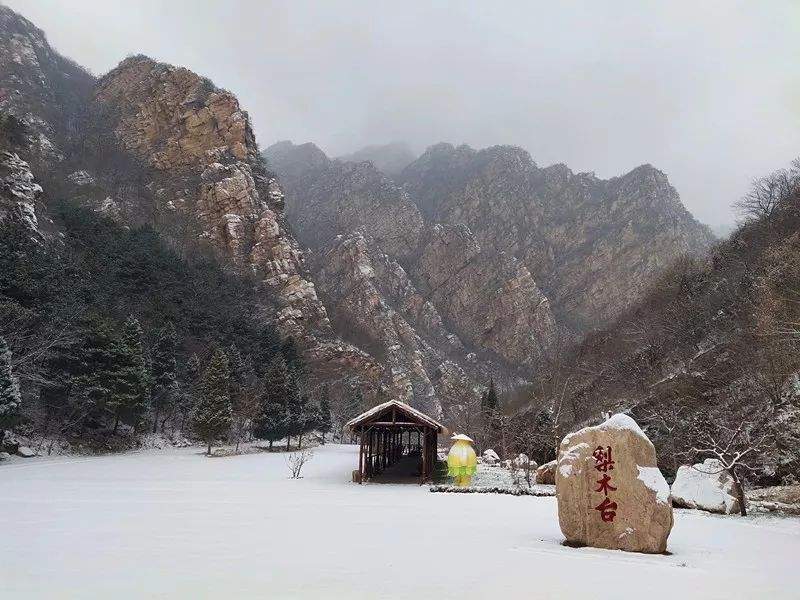 2019第一场雪景已到货，点我查收！