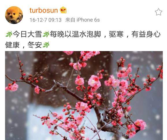 郎朗人设崩塌，邓超全网被嘲：孙俪和吉娜，谁才是最大的赢家？