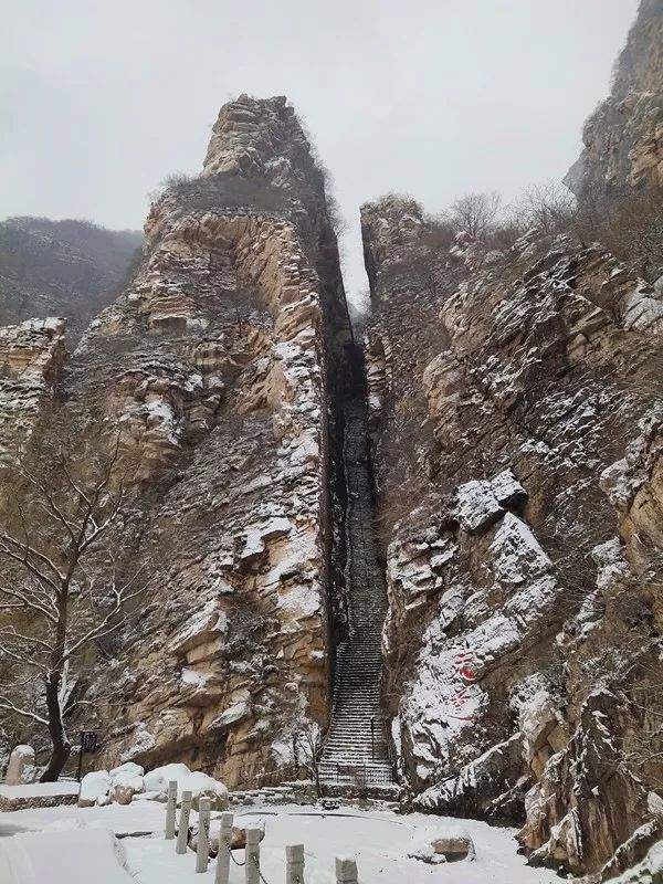 2019第一场雪景已到货，点我查收！