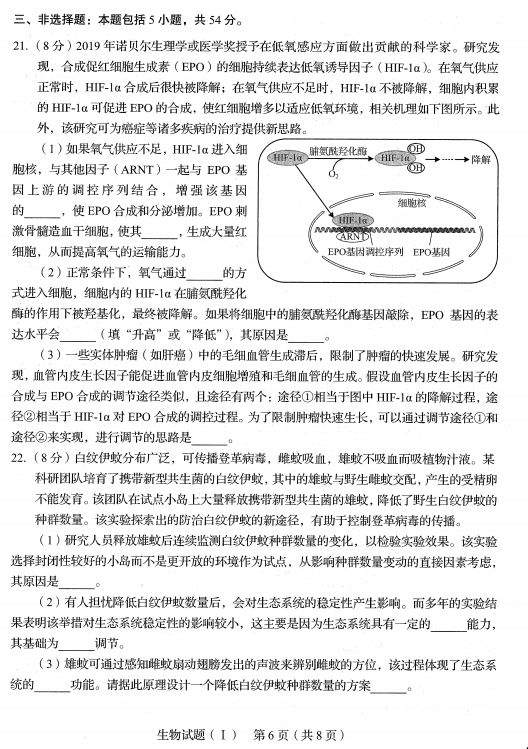 2020新高考首份试卷发布丨物理、化学、生物真题及试卷分析（附原卷pdf下载）