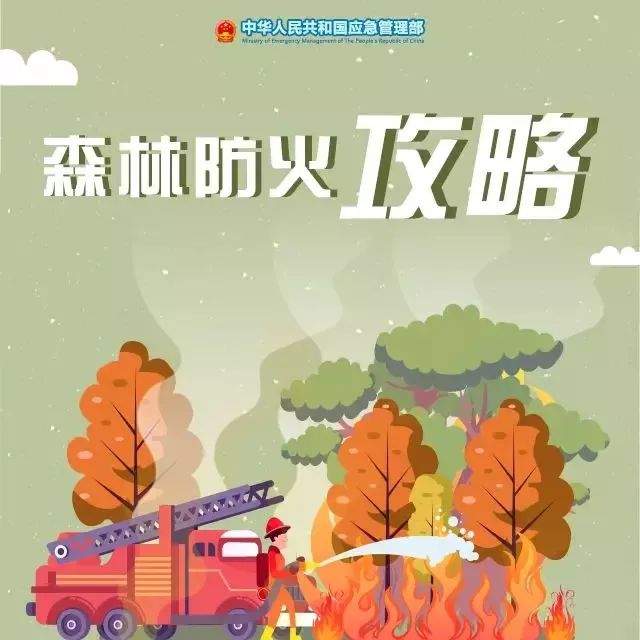 怀集：进入战时状态，全力以赴做好森林防火工作！