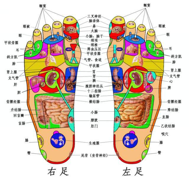 脚上的生命密码，（发一次，帮人无数）