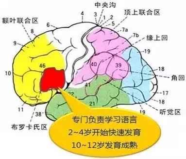 9岁中国女孩在联合国演讲上热搜，再难，也要陪孩子度过这段时间……